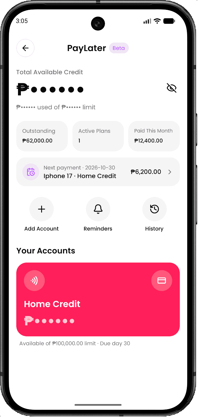 PayItLater credit overview screen